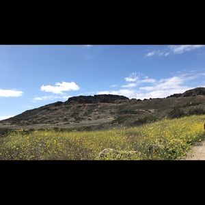 Meet your Posher, Anh